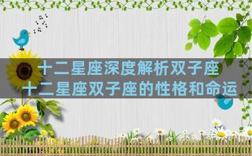 十二星座深度解析双子座 十二星座双子座的性格和命运